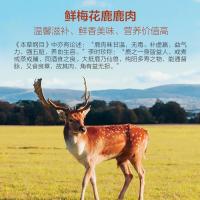 一鹿有礼鹿肉礼盒B款